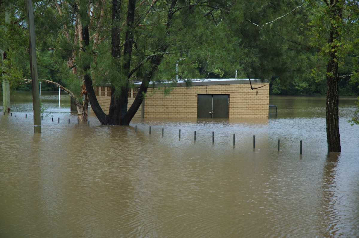 flashflooding flood_pictures : Lismore, NSW   4 January 2008