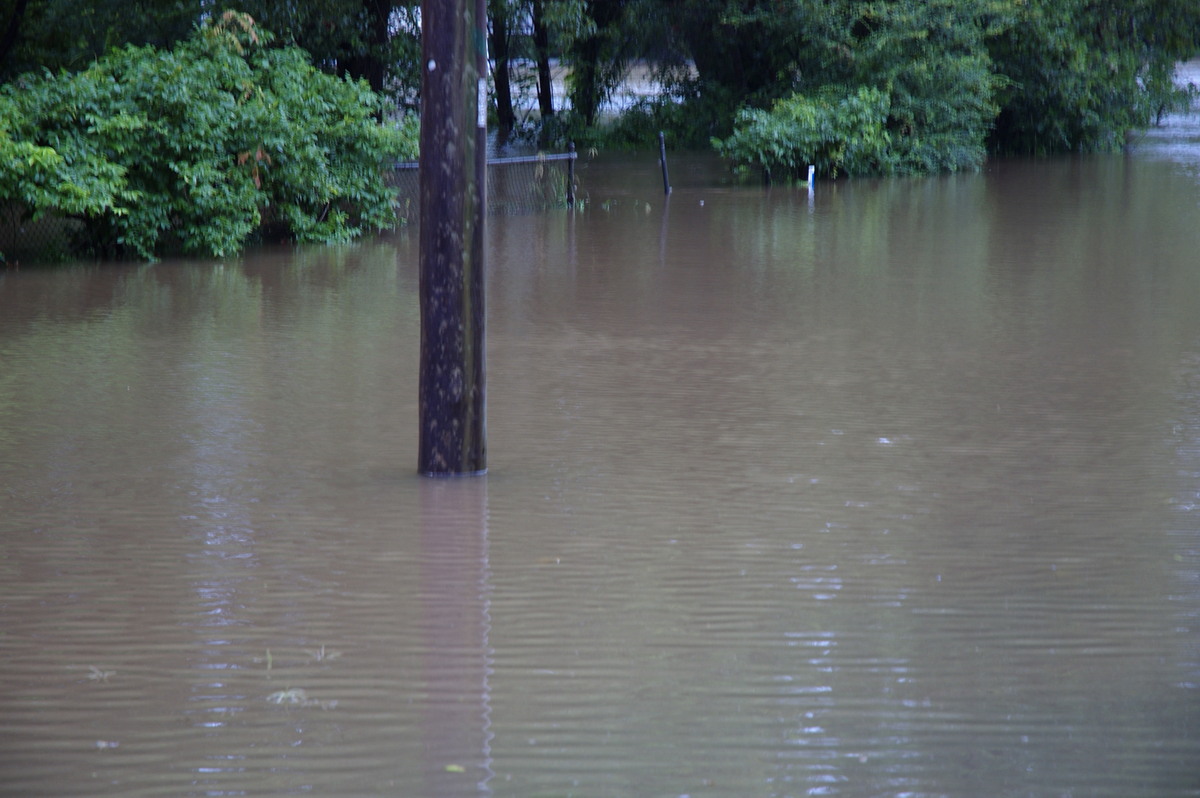 flashflooding flood_pictures : Lismore, NSW   4 January 2008