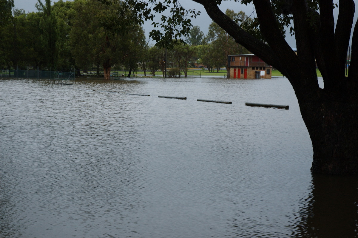 flashflooding flood_pictures : Lismore, NSW   4 January 2008