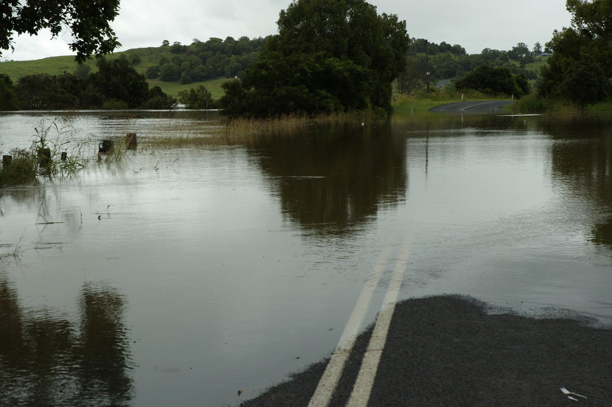 flashflooding flood_pictures : near Lismore, NSW   5 January 2008