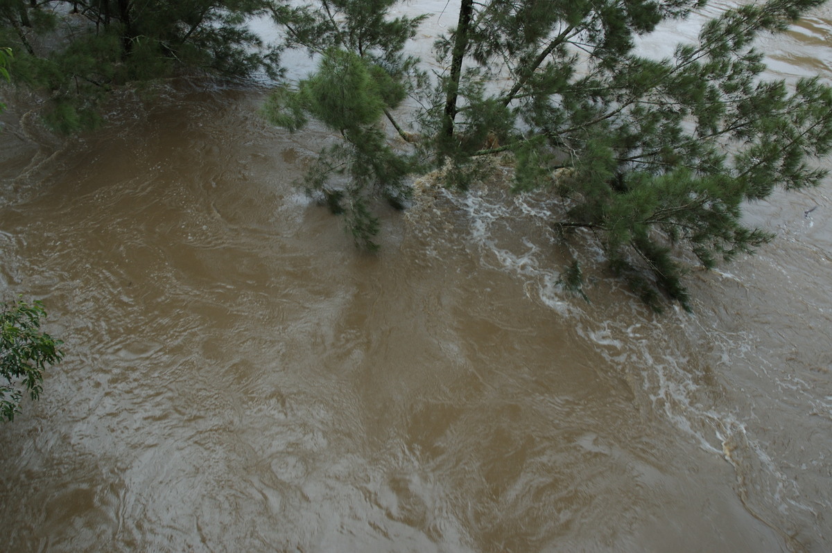 flashflooding flood_pictures : Casino, NSW   5 January 2008