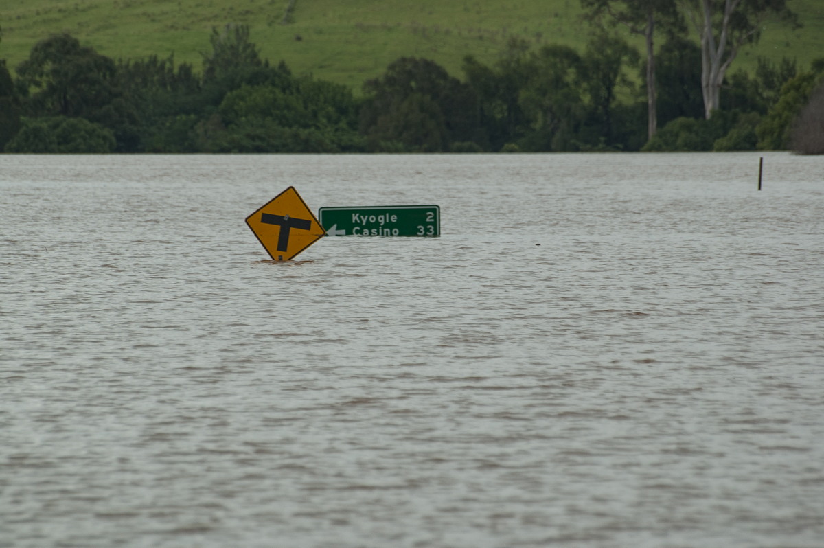 flashflooding flood_pictures : Kyogle, NSW   5 January 2008