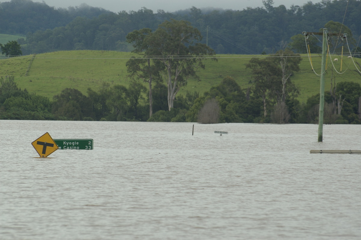 flashflooding flood_pictures : Kyogle, NSW   5 January 2008