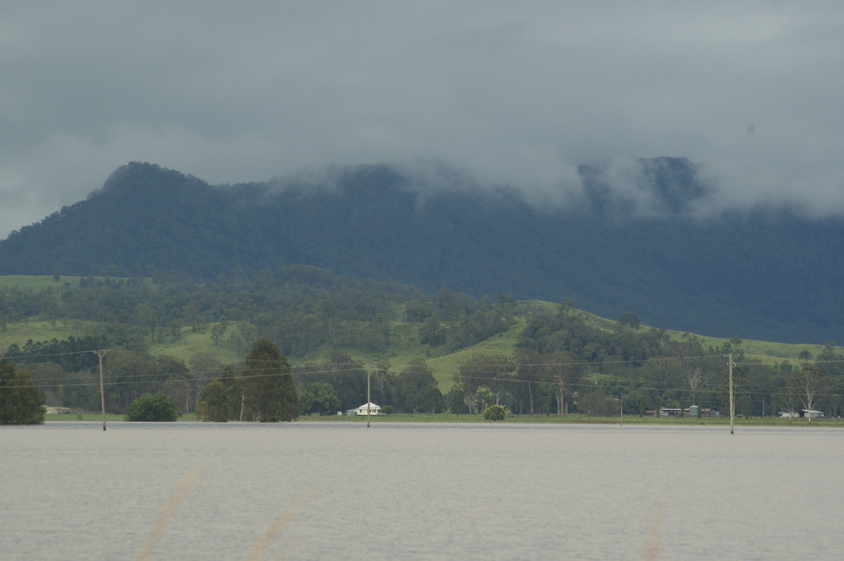 flashflooding flood_pictures : Kyogle, NSW   5 January 2008