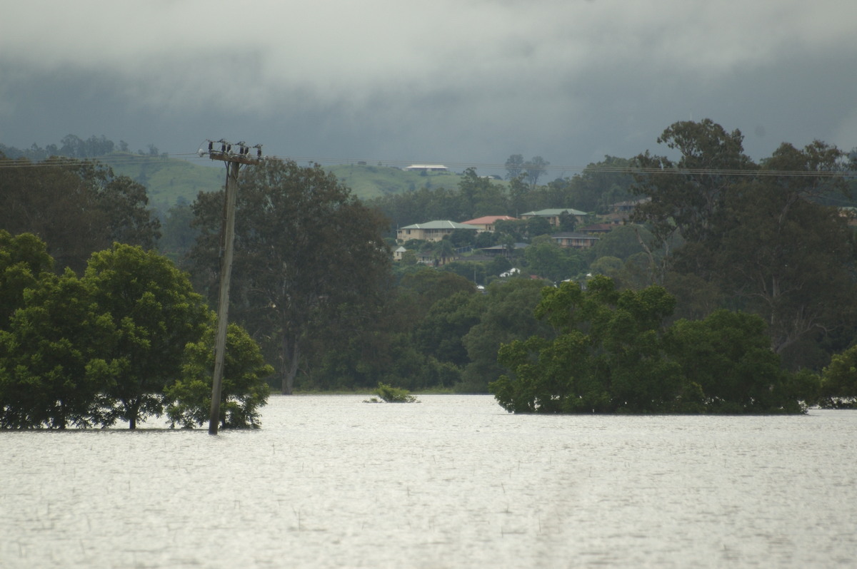 flashflooding flood_pictures : Kyogle, NSW   5 January 2008