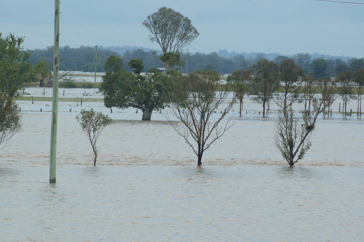 flashflooding flood_pictures : McKees Hill, NSW   6 January 2008