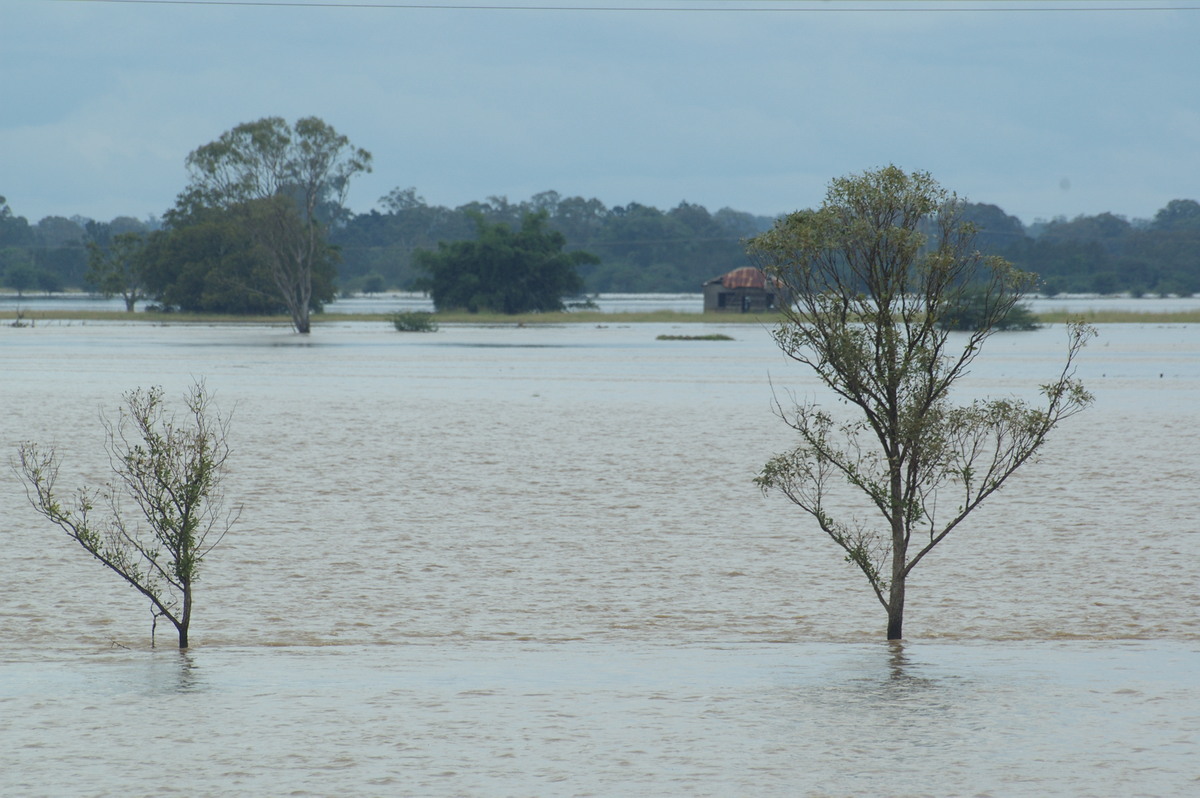 flashflooding flood_pictures : McKees Hill, NSW   6 January 2008