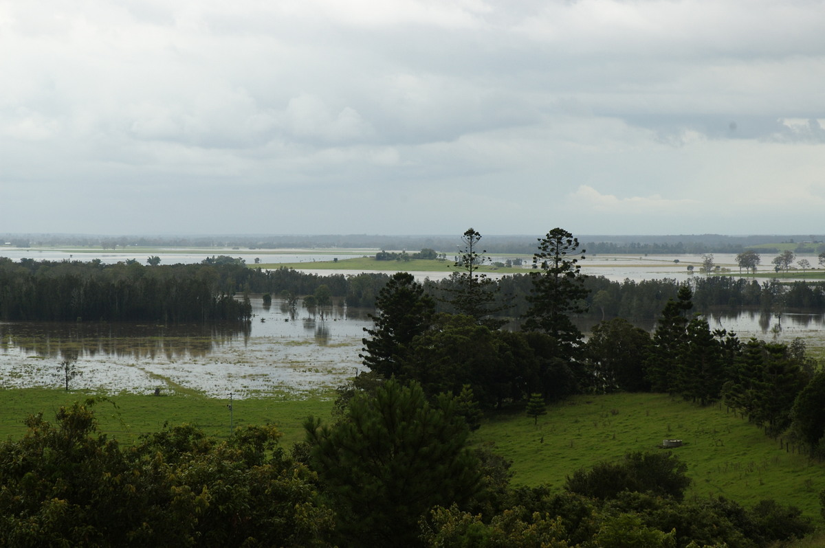 flashflooding flood_pictures : Parrots Nest, NSW   6 January 2008