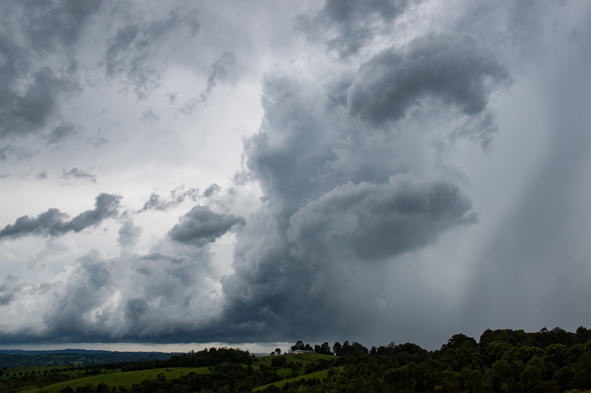 updraft thunderstorm_updrafts : Lismore, NSW   6 January 2008