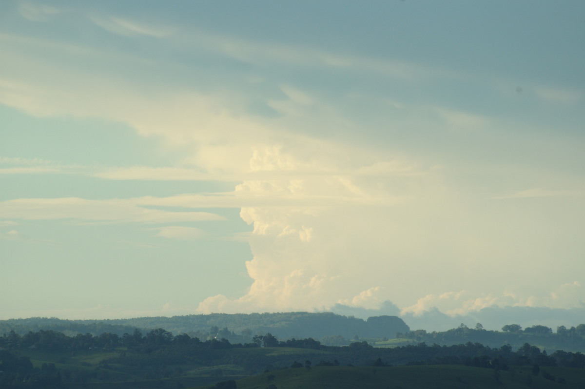 updraft thunderstorm_updrafts : McLeans Ridges, NSW   6 January 2008