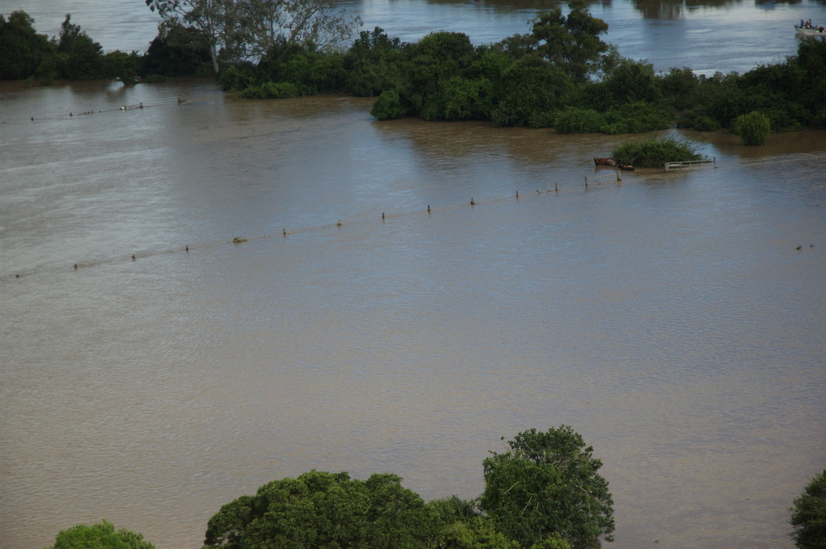 flashflooding flood_pictures : Coraki area, NSW   7 January 2008