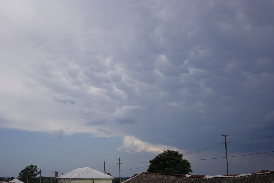 anvil thunderstorm_anvils : Schofields, NSW   13 January 2008