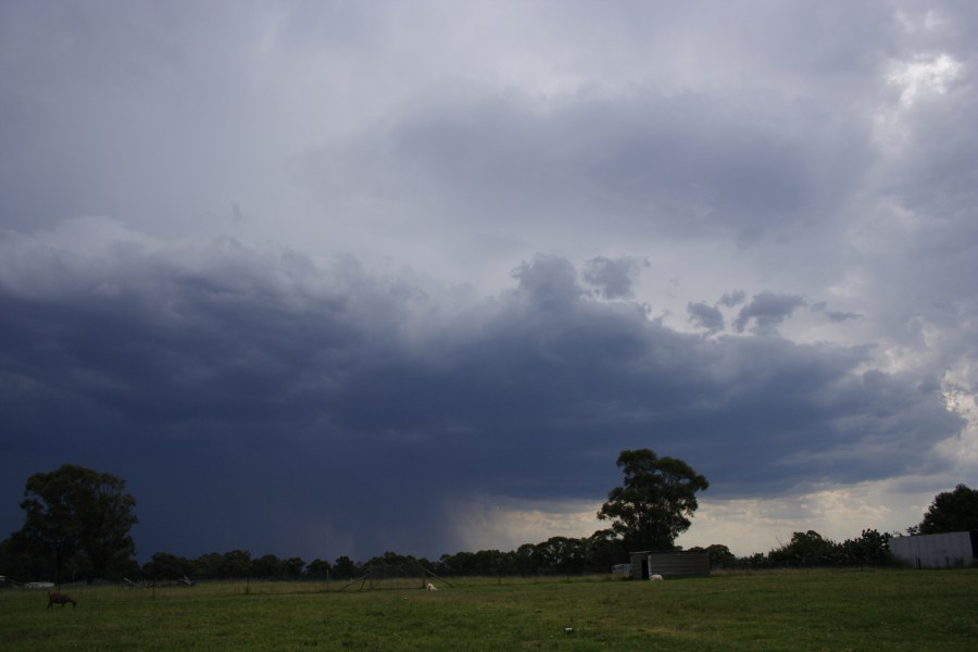 raincascade precipitation_cascade : Schofields, NSW   13 January 2008