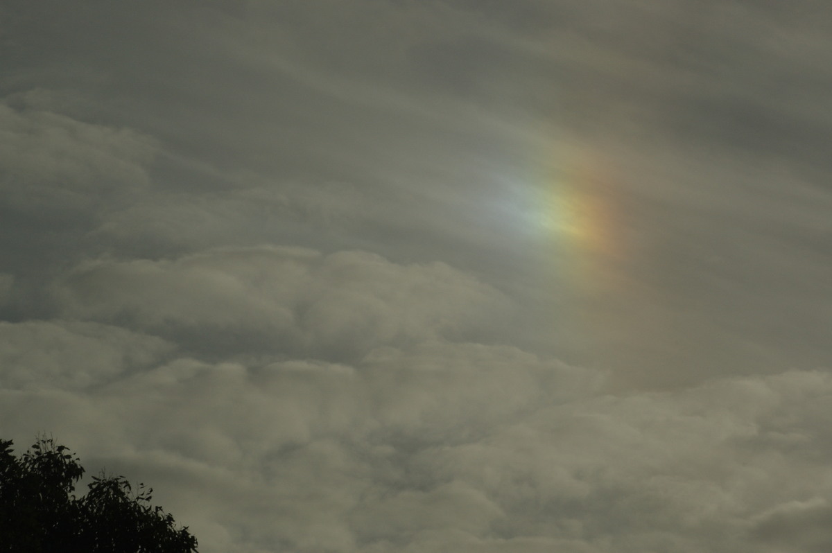 cirrostratus cirrostratus_cloud : McLeans Ridges, NSW   16 January 2008