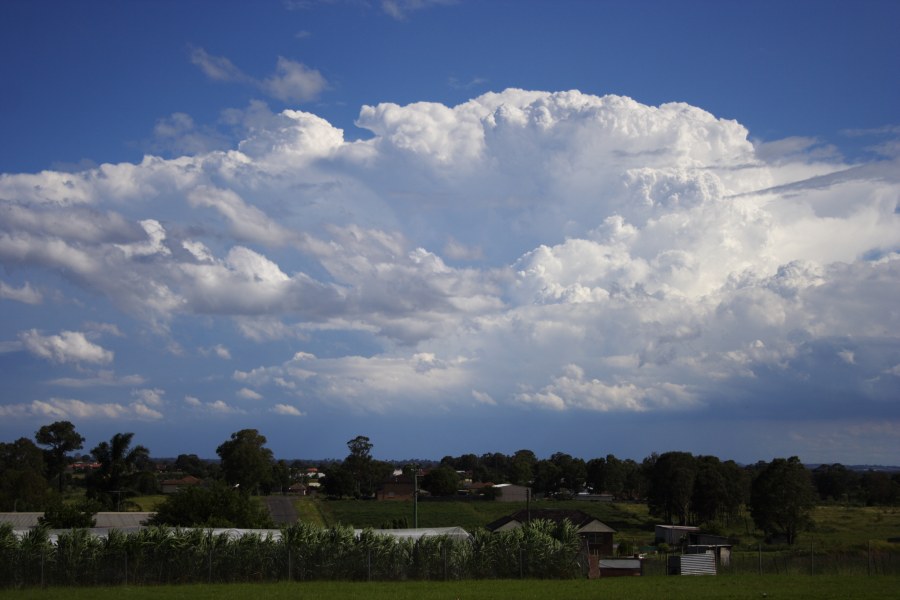 thunderstorm cumulonimbus_incus : Schofields, NSW   20 January 2008