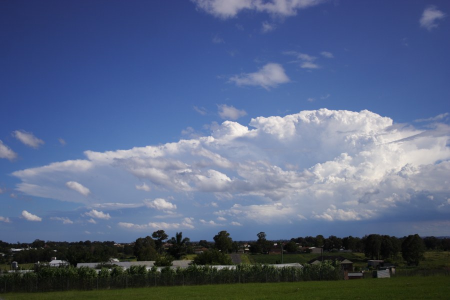 anvil thunderstorm_anvils : Schofields, NSW   20 January 2008