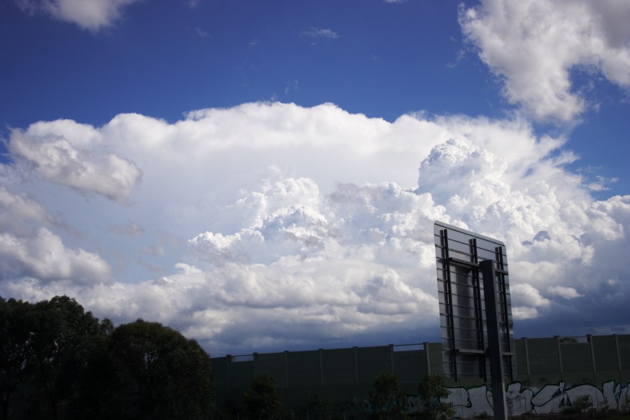 anvil thunderstorm_anvils : M4 Motorway, Prospect, NSW   20 January 2008