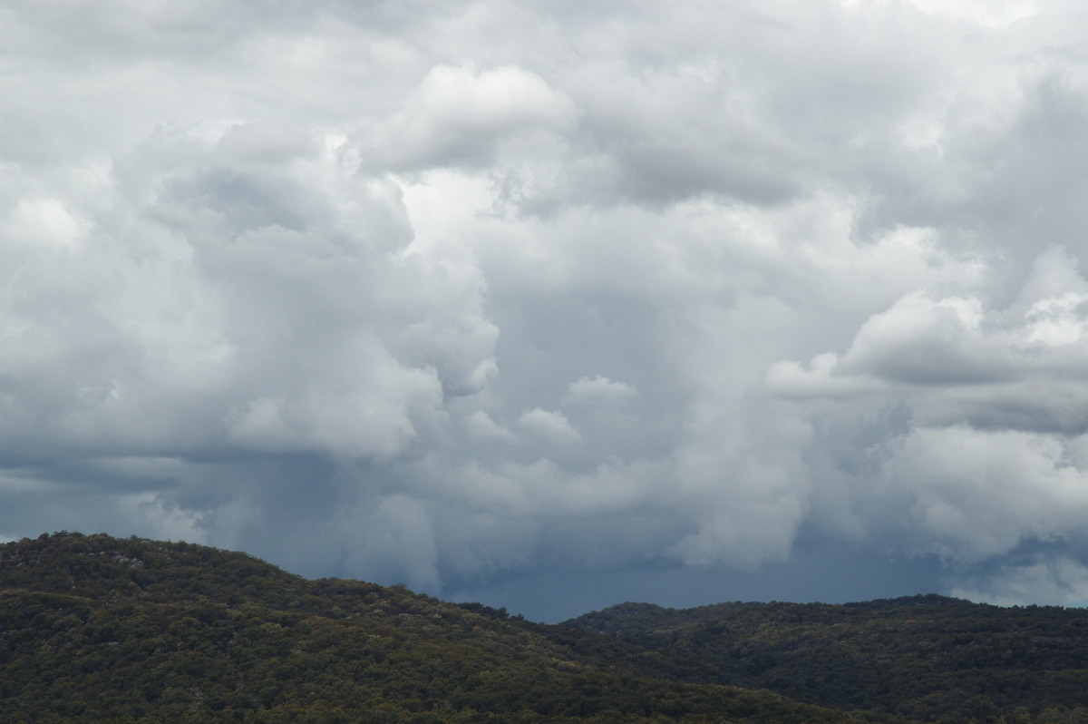 cumulonimbus thunderstorm_base : S of Tenterfield, NSW   27 January 2008