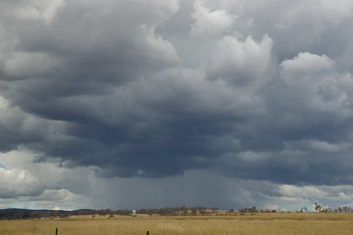 cumulonimbus thunderstorm_base : S of Tenterfield, NSW   27 January 2008