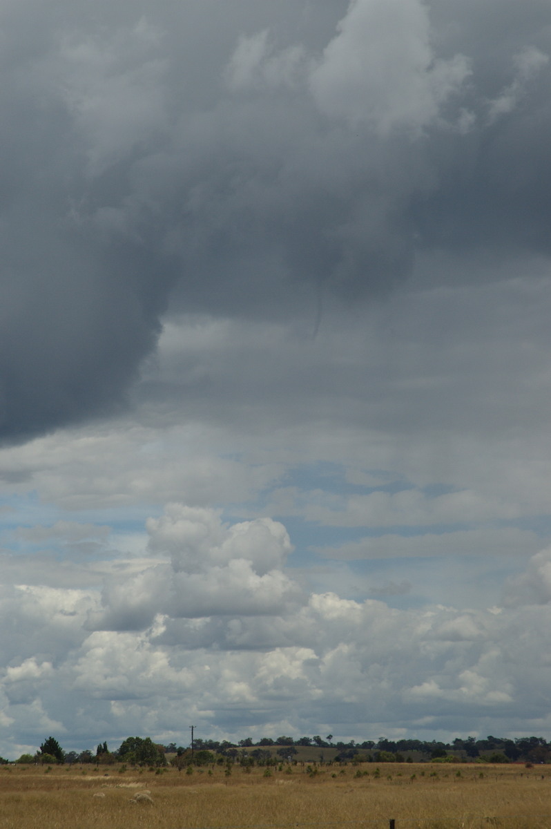 tornadoes funnel_tornado_waterspout : Deepwater, NSW   27 January 2008