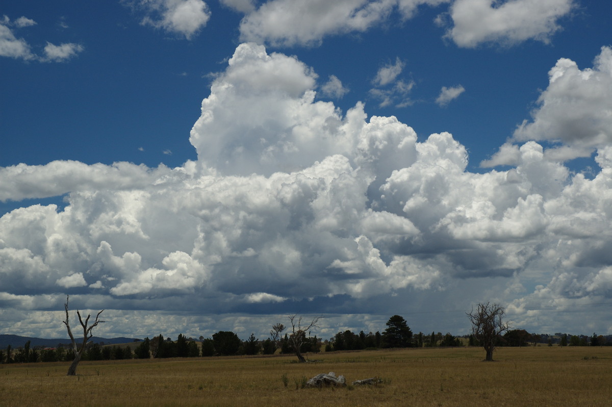 thunderstorm cumulonimbus_calvus : Deepwater, NSW   27 January 2008