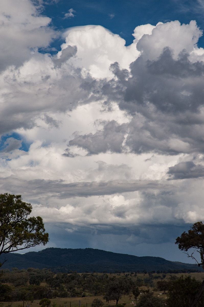 pileus pileus_cap_cloud : W of Tenterfield, NSW   27 January 2008