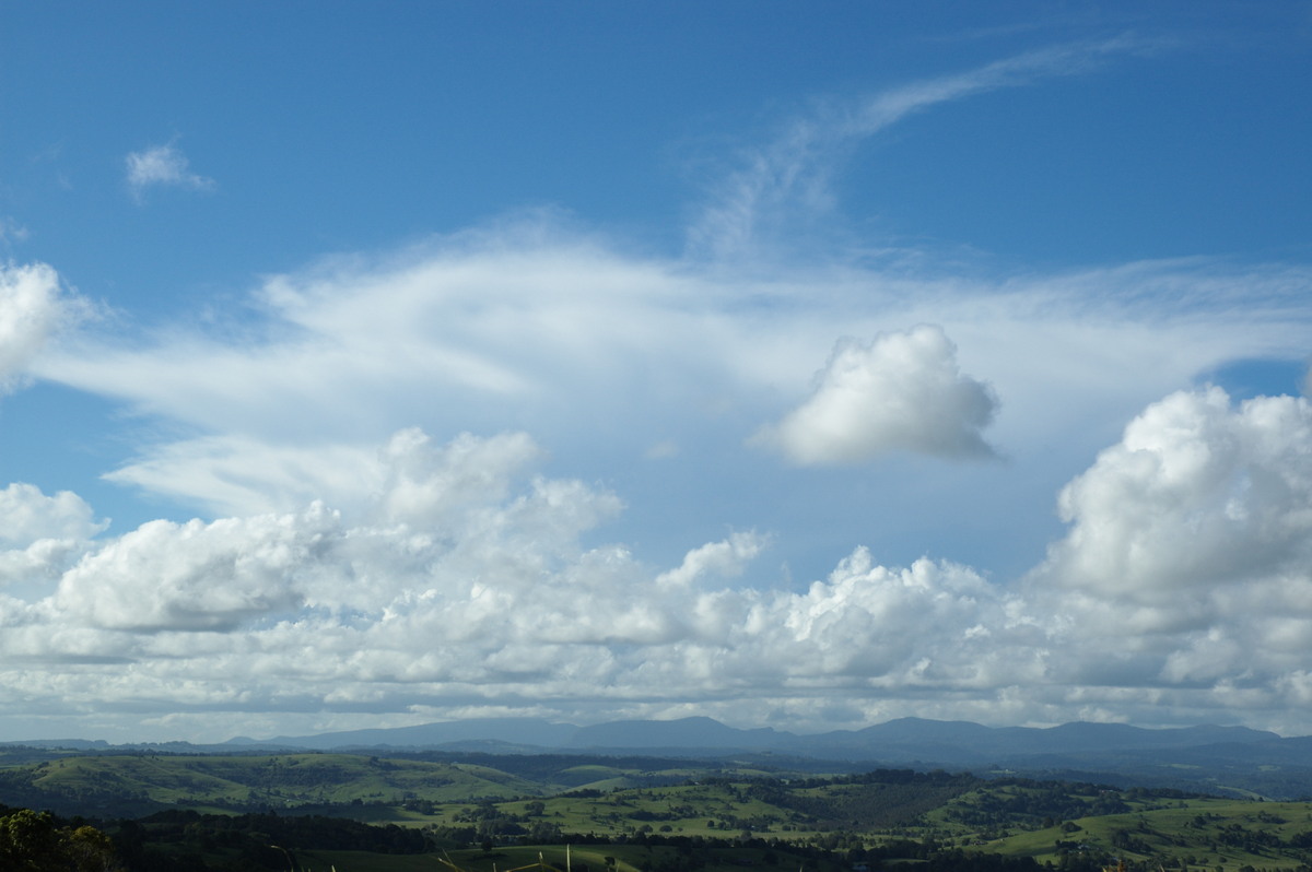 cumulus mediocris : McLeans Ridges, NSW   29 January 2008