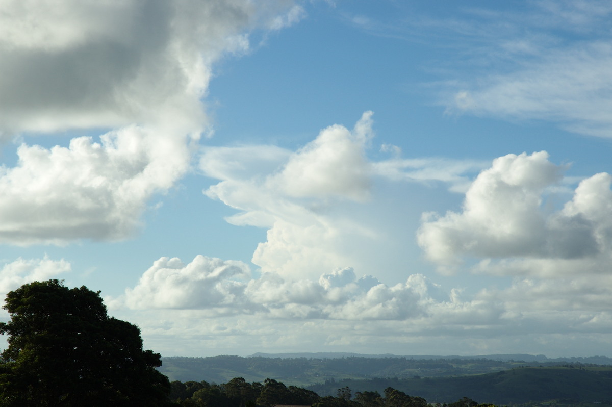 thunderstorm cumulonimbus_incus : McLeans Ridges, NSW   29 January 2008