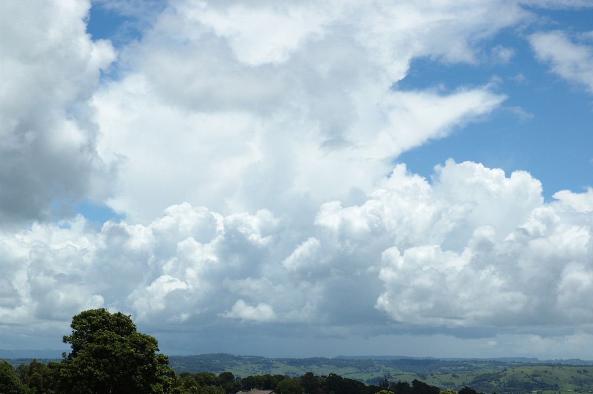 cumulus congestus : McLeans Ridges, NSW   30 January 2008