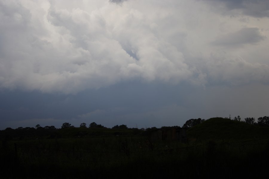 updraft thunderstorm_updrafts : Schofields, NSW   31 January 2008