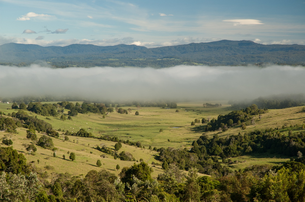 fogmist fog_mist_frost : McLeans Ridges, NSW   6 February 2008