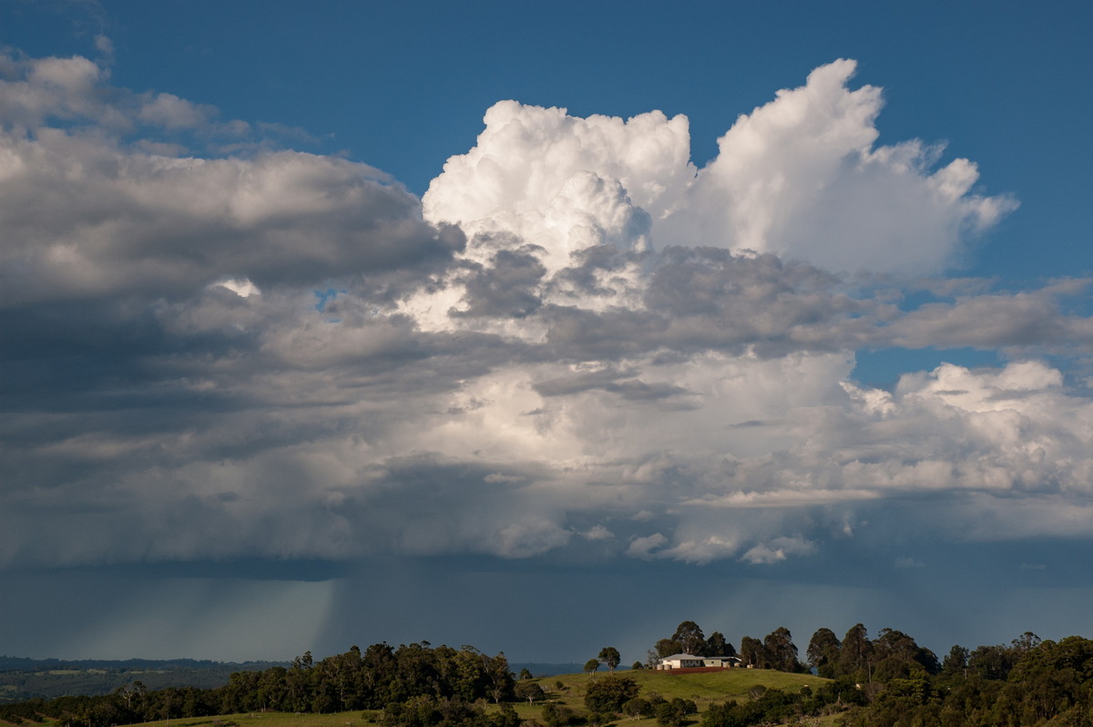 raincascade precipitation_cascade : McLeans Ridges, NSW   7 February 2008