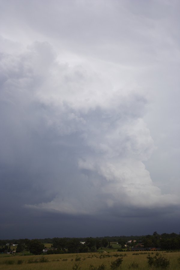 updraft thunderstorm_updrafts : near Cross Roads, NSW   26 February 2008