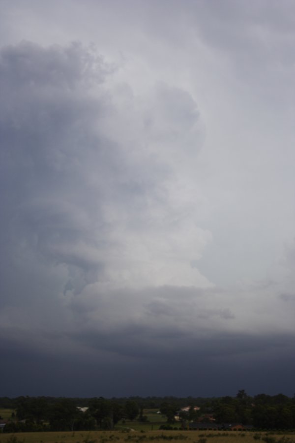 thunderstorm cumulonimbus_incus : near Cross Roads, NSW   26 February 2008