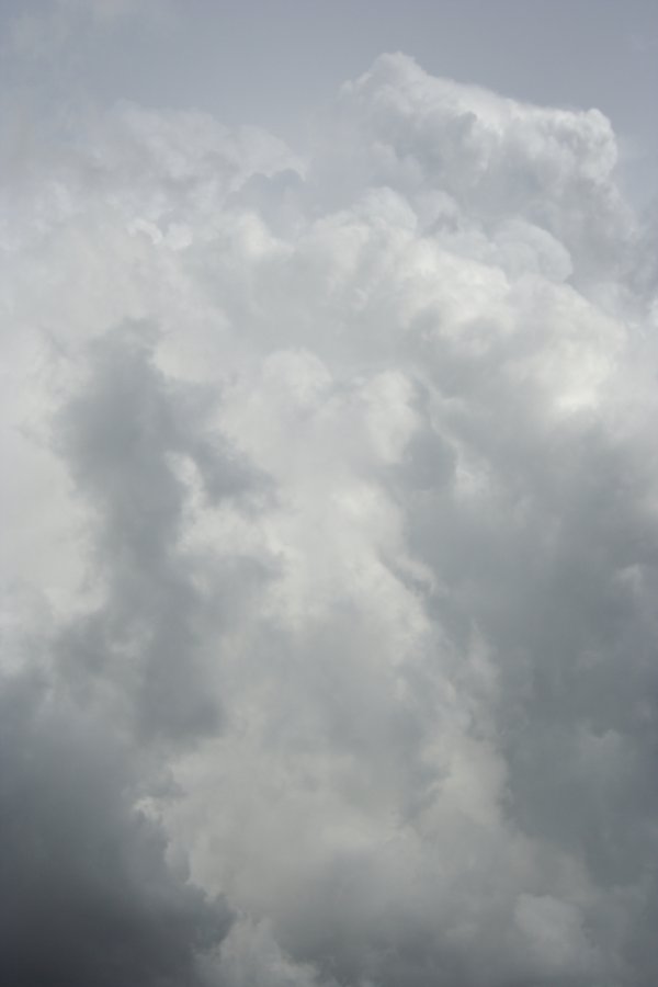 updraft thunderstorm_updrafts : near Horsley Park, NSW   26 February 2008