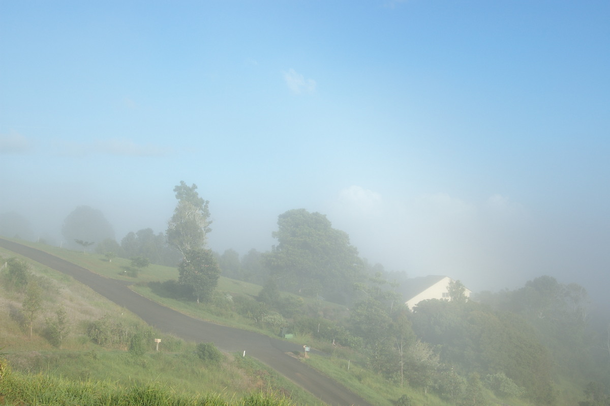 fogmist fog_mist_frost : McLeans Ridges, NSW   11 March 2008