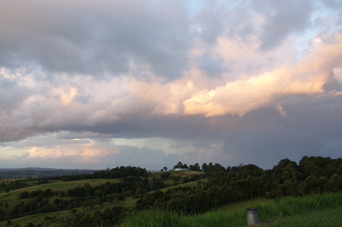 cumulus mediocris : McLeans Ridges, NSW   11 March 2008