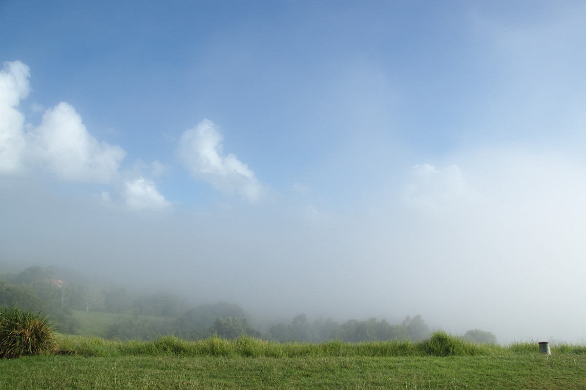 fogmist fog_mist_frost : McLeans Ridges, NSW   15 March 2008