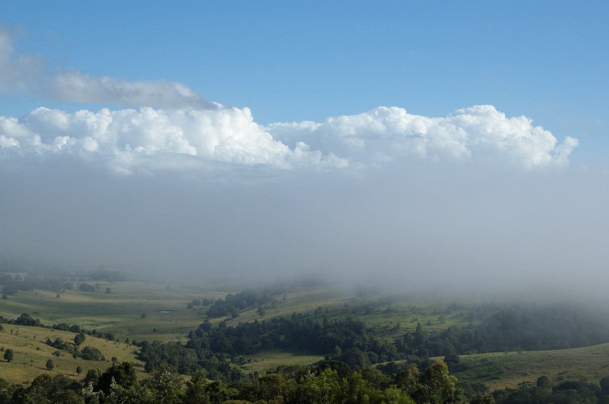 cumulus congestus : McLeans Ridges, NSW   15 March 2008