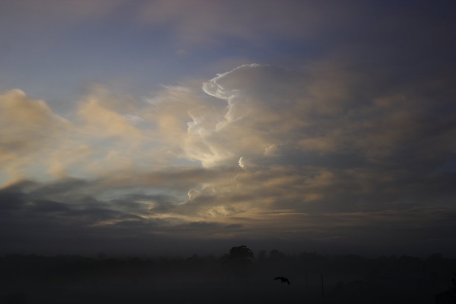 sunrise sunrise_pictures : Schofields, NSW   24 March 2008