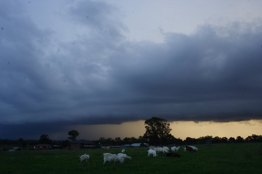 sunset sunset_pictures : Schofields, NSW   24 March 2008