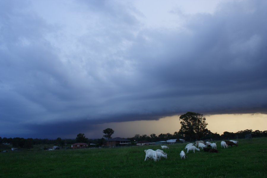 shelfcloud shelf_cloud : Schofields, NSW   24 March 2008