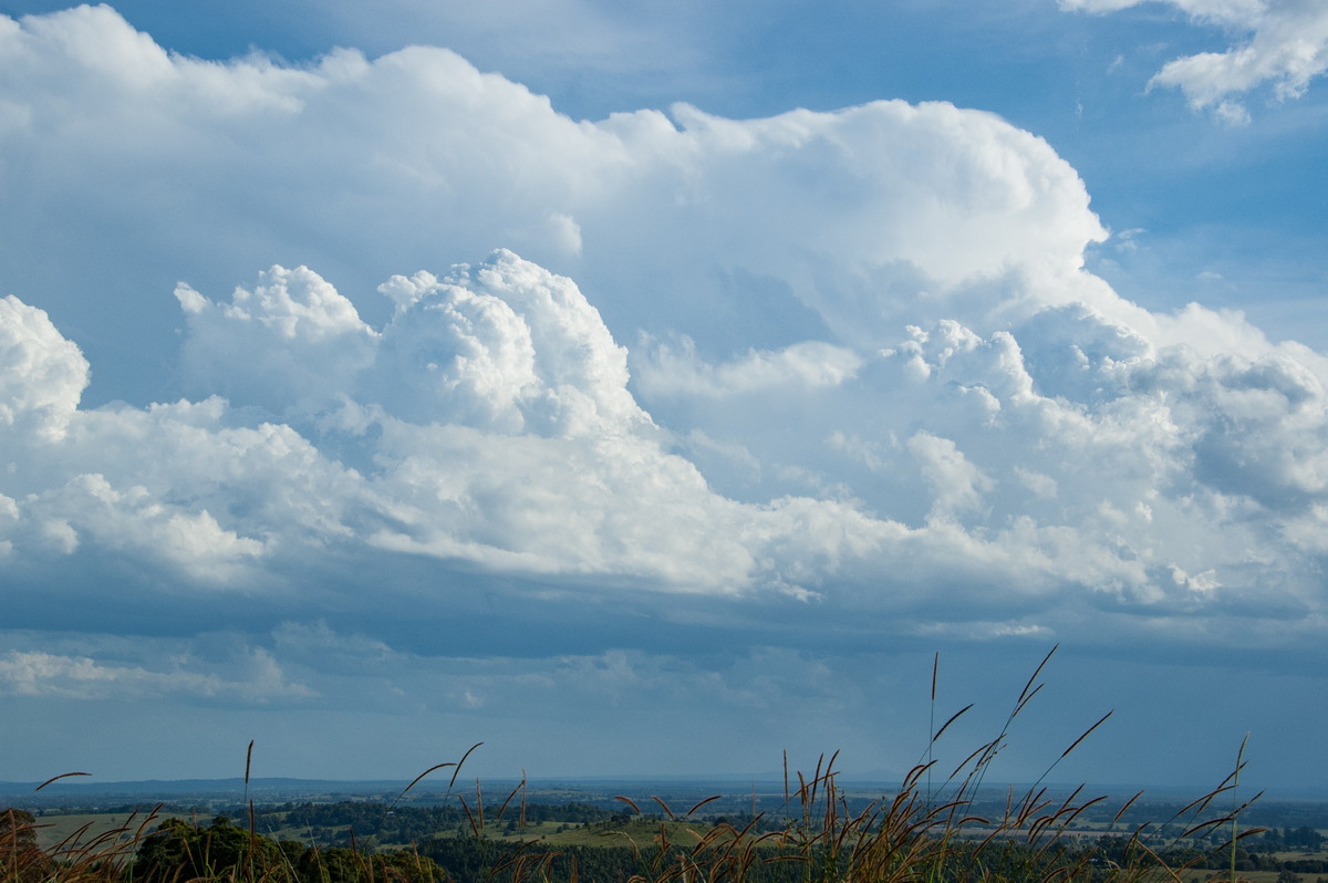 thunderstorm cumulonimbus_incus : Tregeagle, NSW   26 March 2008