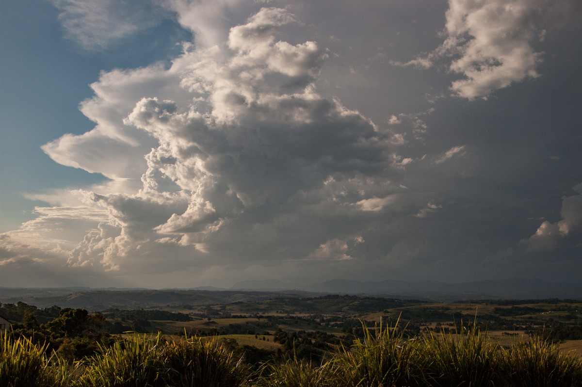 anvil thunderstorm_anvils : McLeans Ridges, NSW   26 March 2008