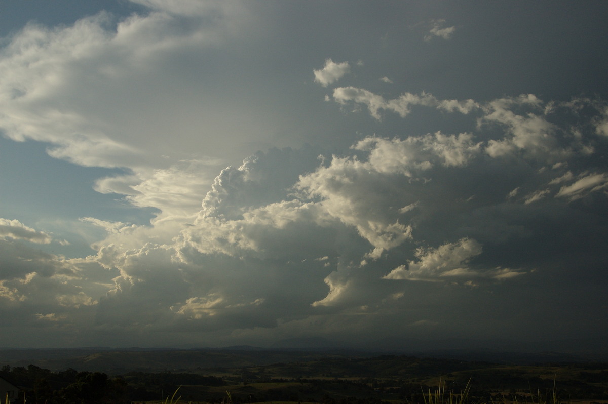 anvil thunderstorm_anvils : McLeans Ridges, NSW   26 March 2008