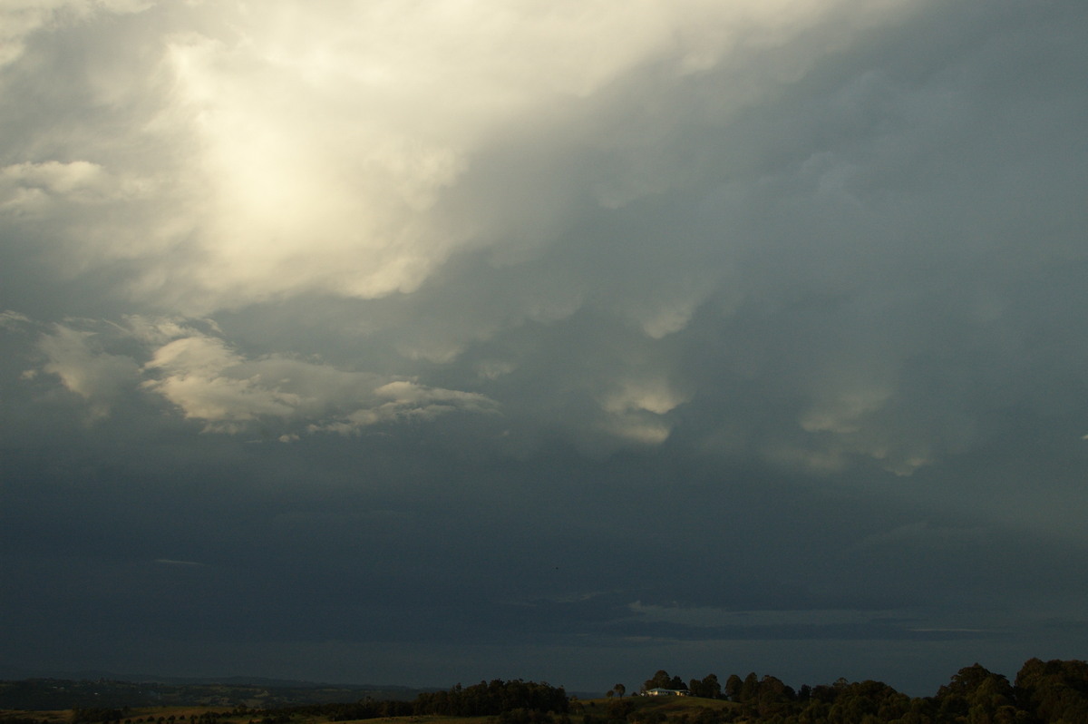 anvil thunderstorm_anvils : McLeans Ridges, NSW   26 March 2008