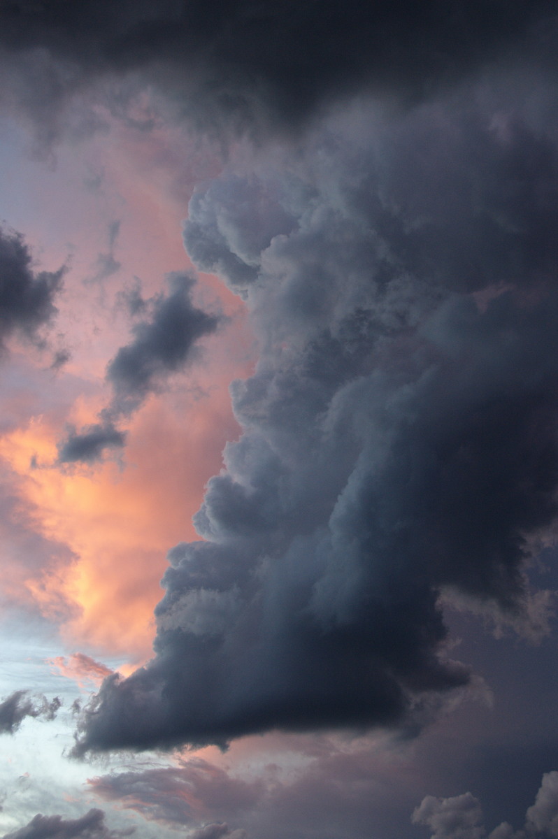 updraft thunderstorm_updrafts : McLeans Ridges, NSW   26 March 2008