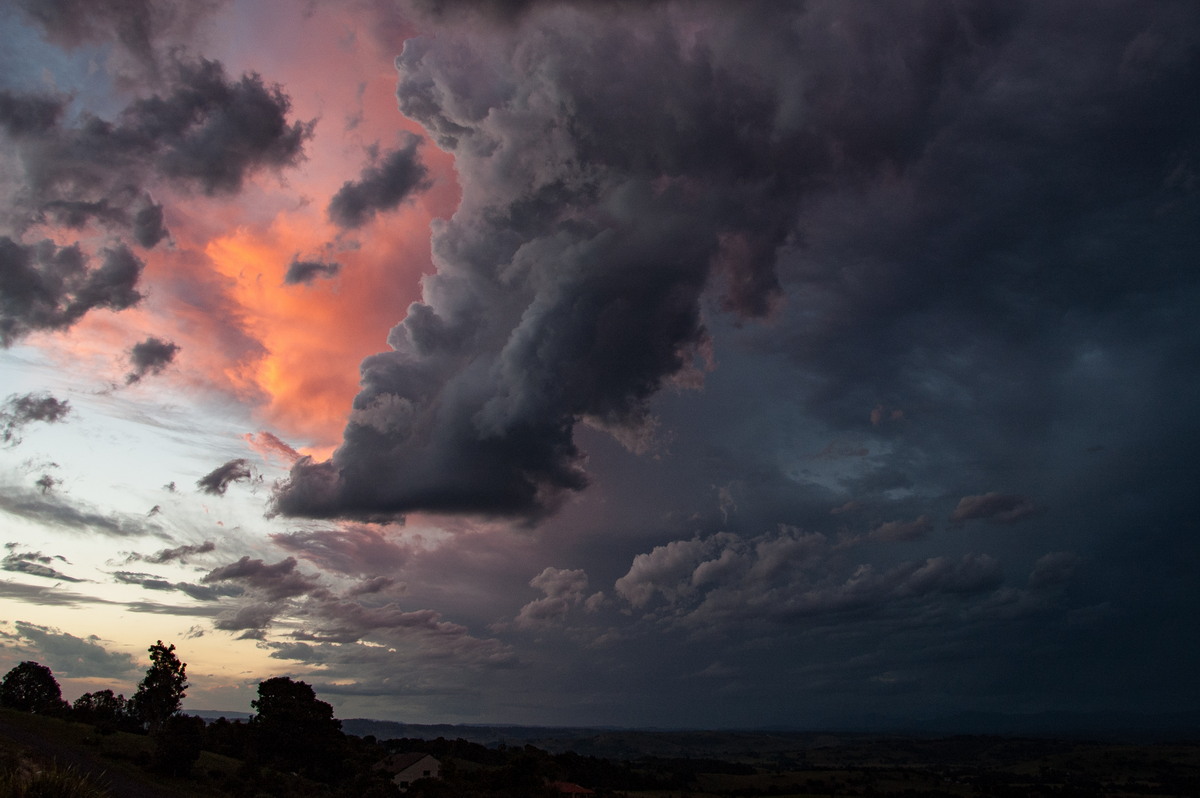 updraft thunderstorm_updrafts : McLeans Ridges, NSW   26 March 2008