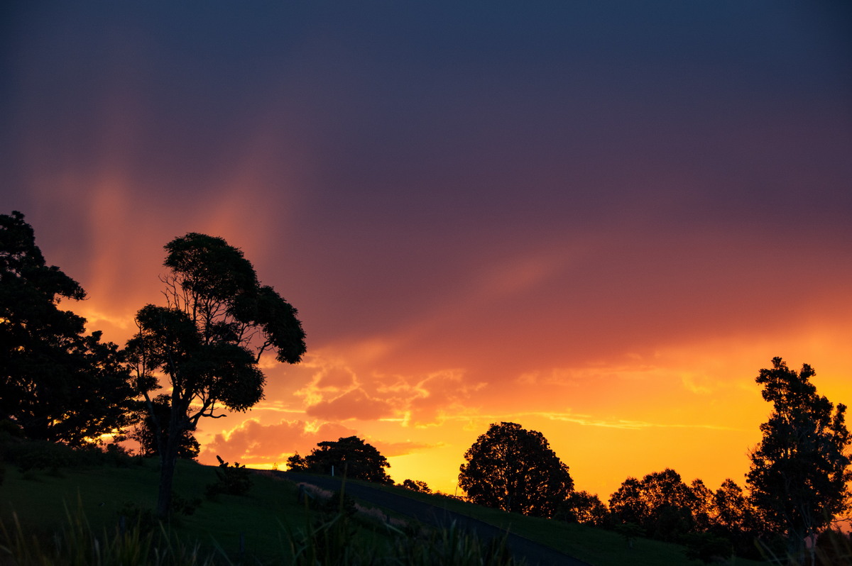 favourites michael_bath : McLeans Ridges, NSW   27 March 2008