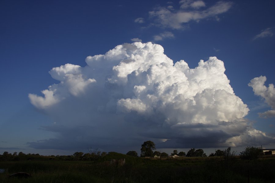 updraft thunderstorm_updrafts : Schofields, NSW   29 March 2008